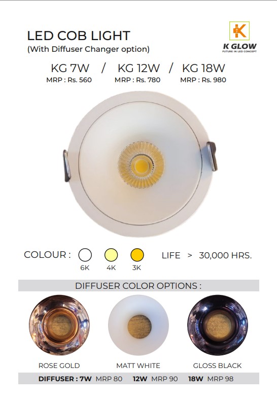 LED COB LIGHT (With Diffuser Changer option)